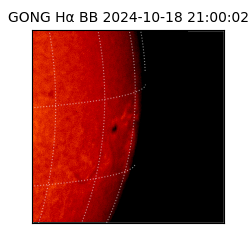 gong - 2024-10-18T21:00:02