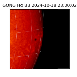 gong - 2024-10-18T23:00:02