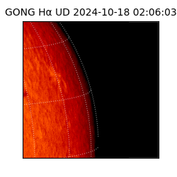 gong - 2024-10-18T02:06:03