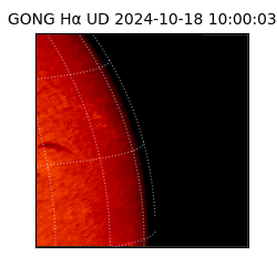 gong - 2024-10-18T10:00:03