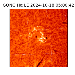 gong - 2024-10-18T05:00:42