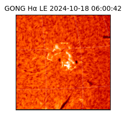 gong - 2024-10-18T06:00:42