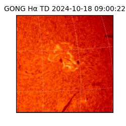 gong - 2024-10-18T09:00:22