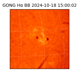 gong - 2024-10-18T15:00:02