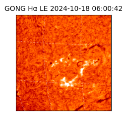 gong - 2024-10-18T06:00:42