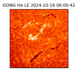 gong - 2024-10-18T06:00:42