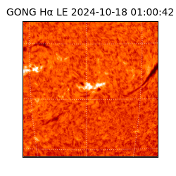 gong - 2024-10-18T01:00:42