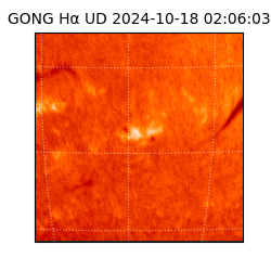 gong - 2024-10-18T02:06:03