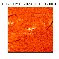 gong - 2024-10-18T05:00:42