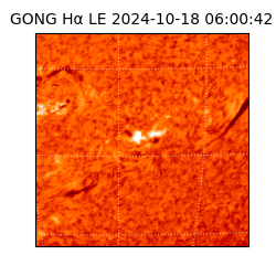gong - 2024-10-18T06:00:42