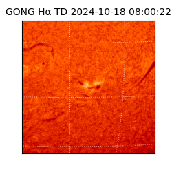 gong - 2024-10-18T08:00:22