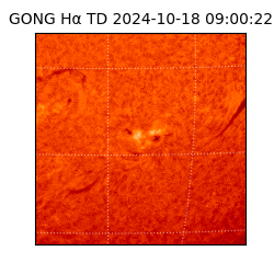 gong - 2024-10-18T09:00:22