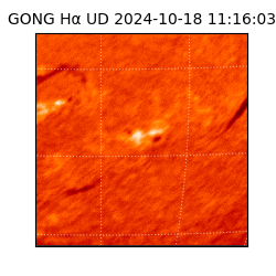 gong - 2024-10-18T11:16:03