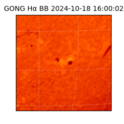 gong - 2024-10-18T16:00:02