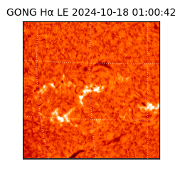 gong - 2024-10-18T01:00:42