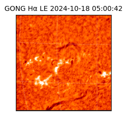 gong - 2024-10-18T05:00:42