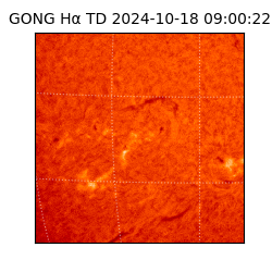 gong - 2024-10-18T09:00:22