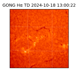 gong - 2024-10-18T13:00:22