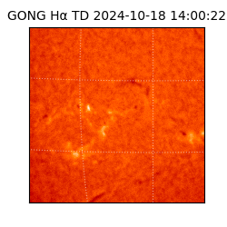 gong - 2024-10-18T14:00:22