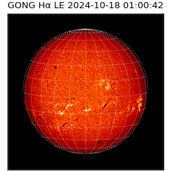 gong - 2024-10-18T01:00:42