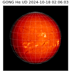 gong - 2024-10-18T02:06:03