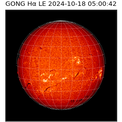 gong - 2024-10-18T05:00:42