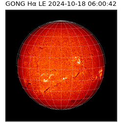 gong - 2024-10-18T06:00:42