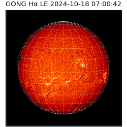 gong - 2024-10-18T07:00:42