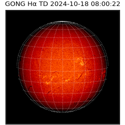 gong - 2024-10-18T08:00:22