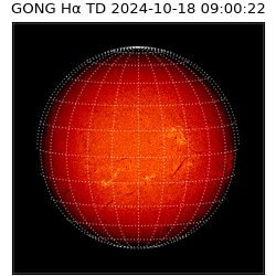 gong - 2024-10-18T09:00:22