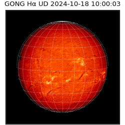 gong - 2024-10-18T10:00:03
