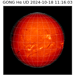gong - 2024-10-18T11:16:03