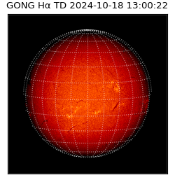 gong - 2024-10-18T13:00:22