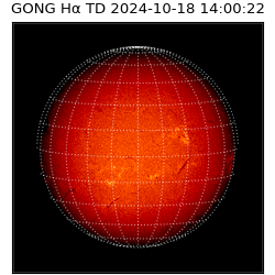 gong - 2024-10-18T14:00:22