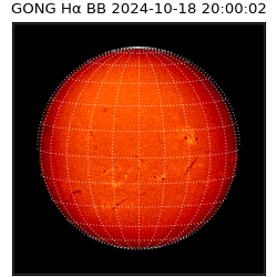 gong - 2024-10-18T20:00:02