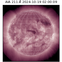 saia - 2024-10-19T02:00:09.630000