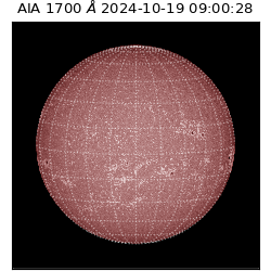 saia - 2024-10-19T09:00:28.710000