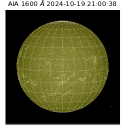 saia - 2024-10-19T21:00:38.132000