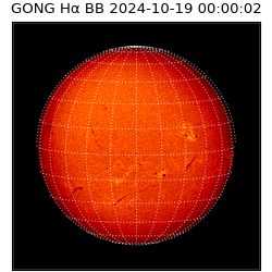 gong - 2024-10-19T00:00:02