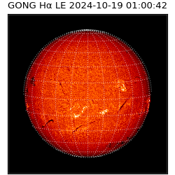 gong - 2024-10-19T01:00:42
