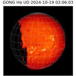 gong - 2024-10-19T02:06:03