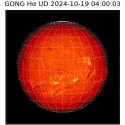 gong - 2024-10-19T04:00:03