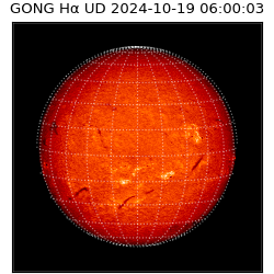 gong - 2024-10-19T06:00:03
