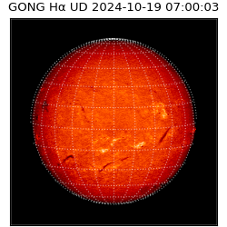 gong - 2024-10-19T07:00:03