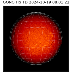 gong - 2024-10-19T08:01:22