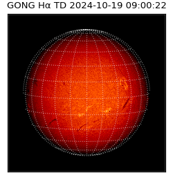 gong - 2024-10-19T09:00:22
