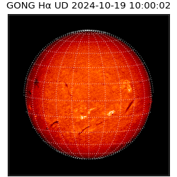 gong - 2024-10-19T10:00:02