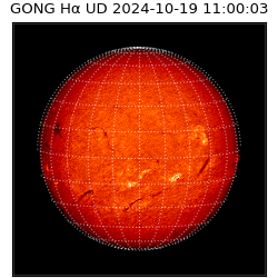 gong - 2024-10-19T11:00:03