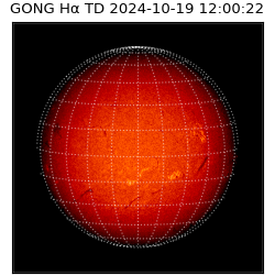 gong - 2024-10-19T12:00:22