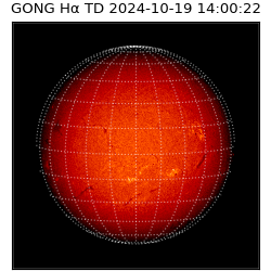 gong - 2024-10-19T14:00:22